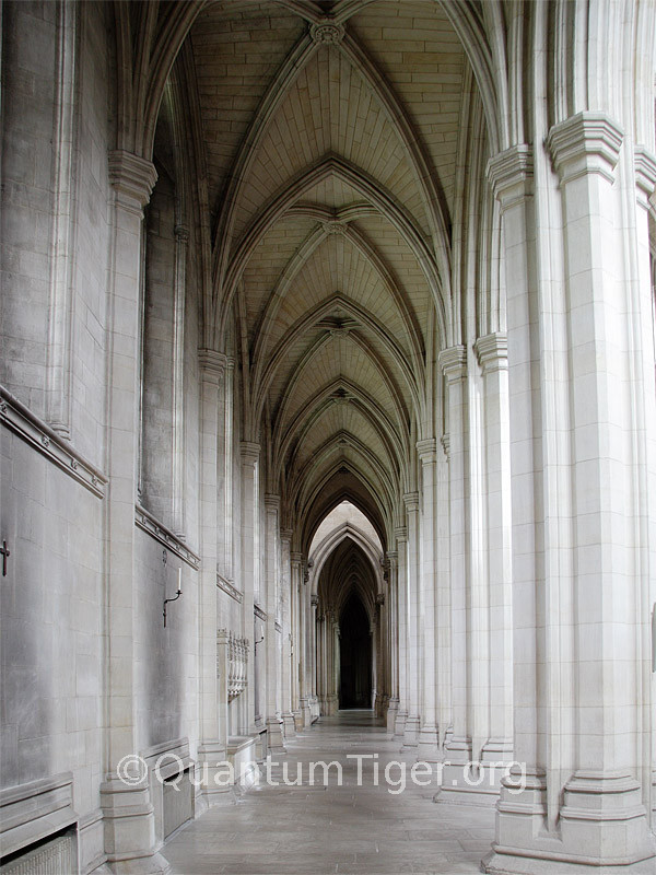 The nave of Downside Abbey. I love the regularity and symetry of church architecture, and this is a fine example